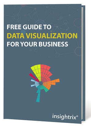 free_guide_to_data_visualization_for_your_business_cover.jpg