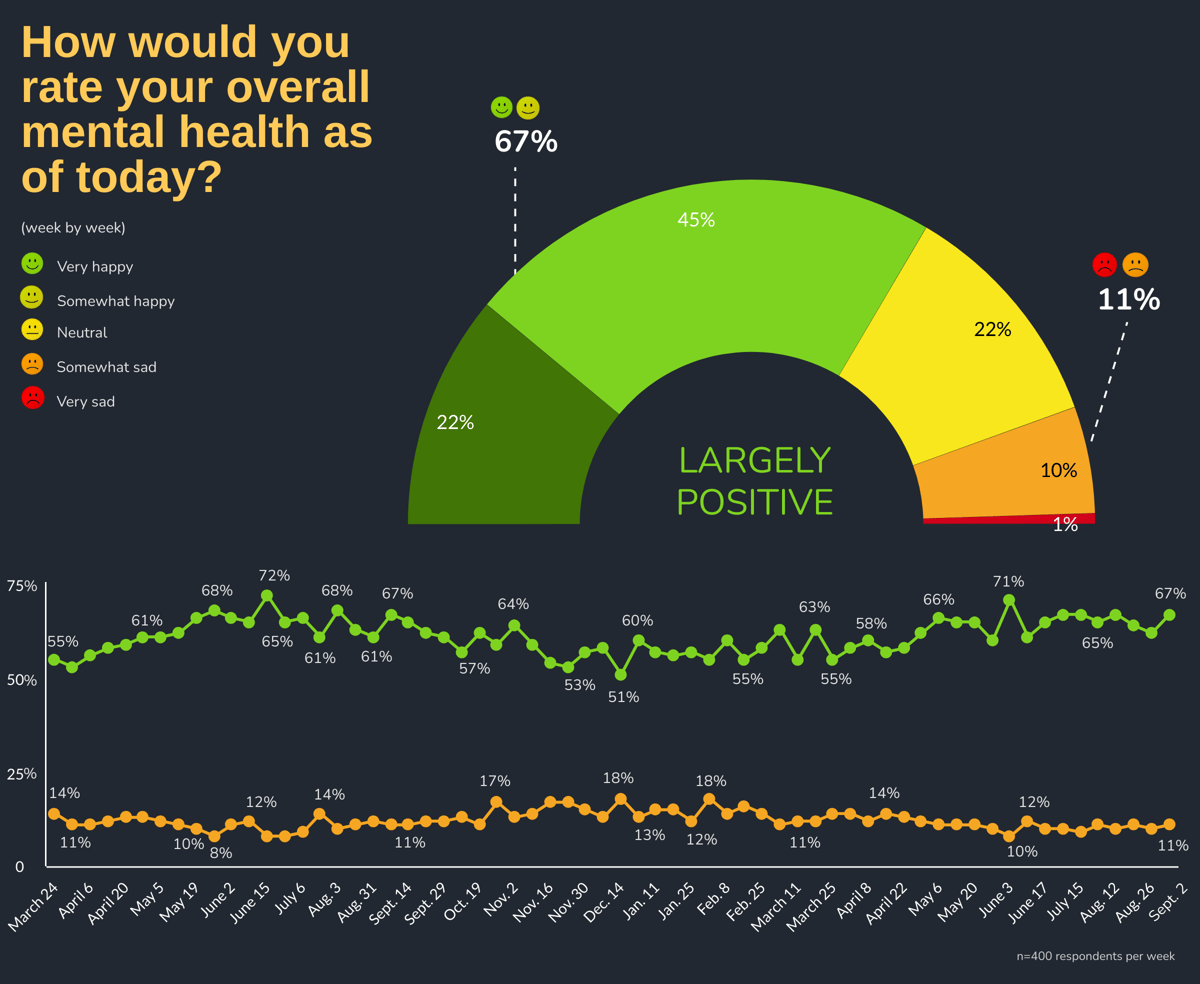 How would you rate your overall mental health as of today?